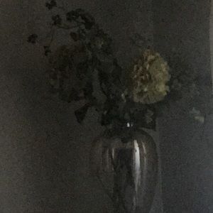 Meet your Posher, Katharine